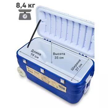 Термоконтейнер «Арктика» 100 л, 9043.544 см, синий