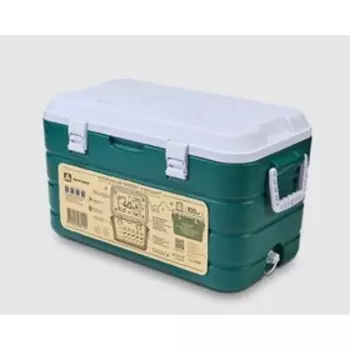 Термоконтейнер «Арктика», 40 л, 643535.5 см, пластик, зелёный
