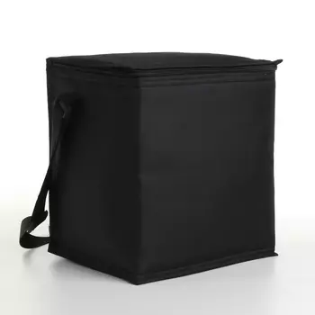 Термосумка на молнии, 15 л, цвет чёрный