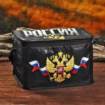 Термосумка «Россия», 16 л