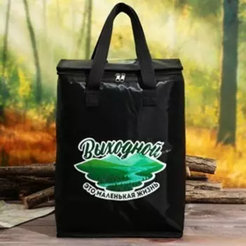 Термосумка «Выходной», 25 л