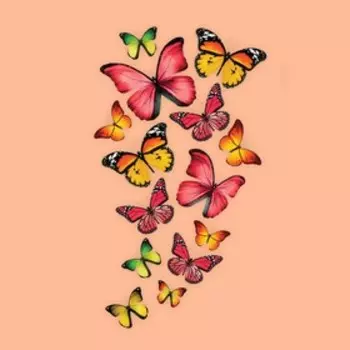Термонаклейка «Бабочки», 1119.5 см