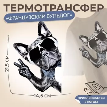 Термонаклейка «Французский бульдог», 14.521.5 см