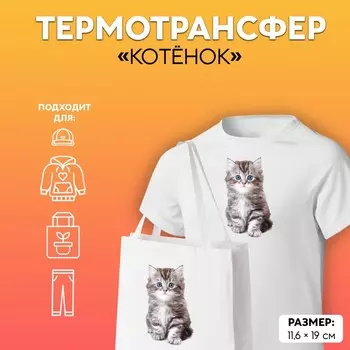 Термотрансфер «Котёнок», 11,6 19 см