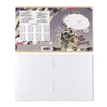 Тетрадь 12 листов в клетку ErichKrause "Dream Owl", обложка мелованный картон, блок офсет