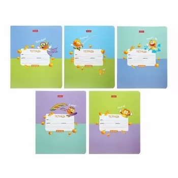 Тетрадь 12 листов в клетку Calligrata, «Экстремальный апельсинчик», обложка мелованный картон, блок 65 г/м, МИКС