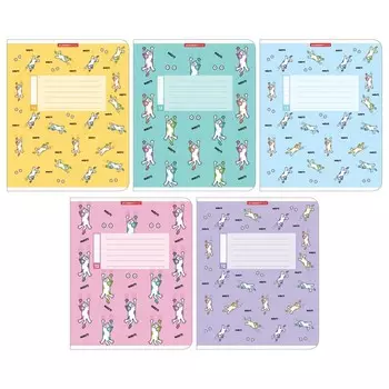 Тетрадь 12 листов в клетку «Котопад», обложка мелованный картон, ВД-лак, блок 60 г/м, МИКС