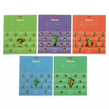 Тетрадь 12 листов в клетку "Мой друг Кактус", обложка мелованный картон, скругленные углы, блок 65 г/м2, поля, МИКС