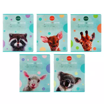 Тетрадь 12 листов в клетку Calligrata, «Узнай себя!», обложка мелованный картон, блок 65 г/м, МИКС