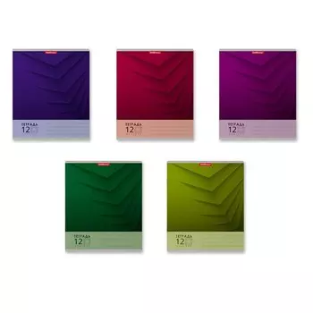 Тетрадь 12 листов в крупную клетку ErichKrause Duotone Next, обложка мелованный картон, блок офсет, белизна 100%, МИКС