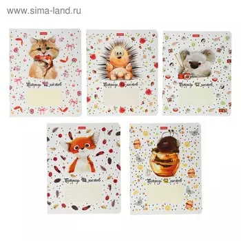 Тетрадь 12 листов, в крупную клетку, "Милашки", скруглённые углы, МИКС