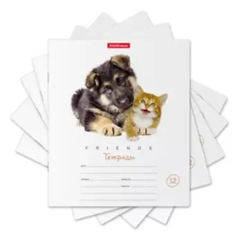 Тетрадь 12 листов в линейку, ErichKrause "Дружба", обложка мелованный картон, блок офсет 100% белизна, микс (1 вид в спайке)