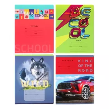 Тетрадь 12 листов линейку «Мальчики», обложка мелованный картон, блок офсет, МИКС