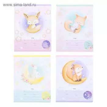 Тетрадь 12 листов в узкую линейку «Милота», обложка мелованный картон, блок офсет, МИКС