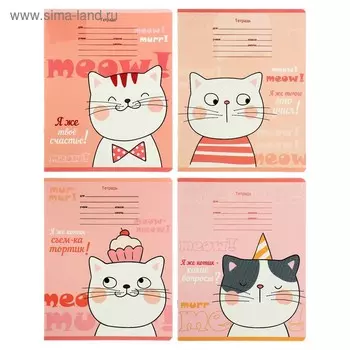 Тетрадь 18 листов в клетку "Я же котик!", обложка мелованный картон, блок офсет, МИКС