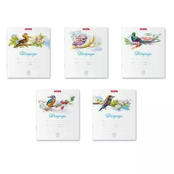 Тетрадь 18 листов в линейку, ErichKrause Birds, обложка мелованный картон, МИКС