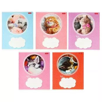 Тетрадь 18 листов в линейку «Котята», МИКС