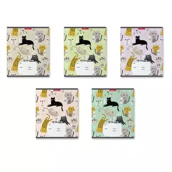 Тетрадь 24 листа в клетку ErichKrause Lying Cats, обложка мелованный картон, блок офсет, белизна 100%, МИКС