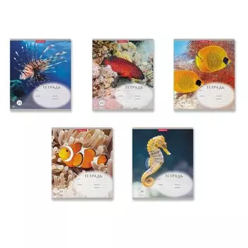 Тетрадь 24 листа в клетку ErichKrause "Подводный мир", обложка мелованный картон, блок офсет, белизна 100%, МИКС