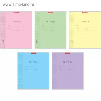 Тетрадь 24 листа в клетку, ErichKrause «Классика Visio», обложка мелованный картон, МИКС