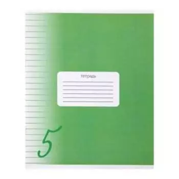 Тетрадь 24 листа в линию Calligrata "Пятёрка", обложка мелованный картон, ВД-лак, блок офсет, белизна 95%, МИКС