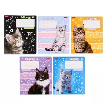 Тетрадь 24 листов в линейку Calligrata «Ушки на макушке», обложка мелованный картон, скругленные углы, блок 65%, МИКС