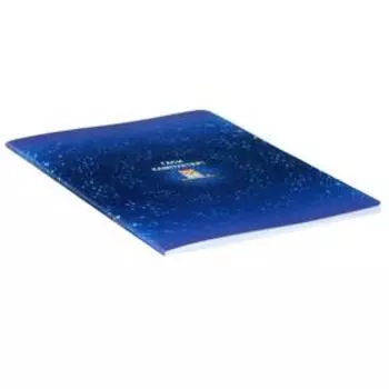 Тетрадь 40 листов в клетку "Окейси", обложка мелованный картон, выборочный лак, блок офсет, МИКС