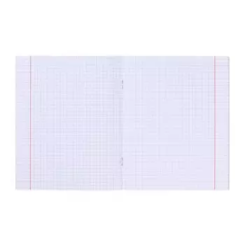 Тетрадь 40 листов в клетку "Прохвост",обложка мелованный картон, блок 65, 5В, МИКС