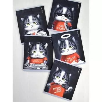 Тетрадь 48 листов в клетку "Аниме кот", обложка мелованный картон, ламинация "софт-тач", блок офсет, МИКС