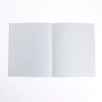 Тетрадь 48 листов в клетку, Calligrata, Real Man, МИКС