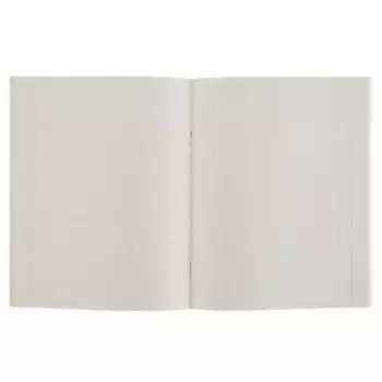 Тетрадь 48 листов в клетку Calligrata «Россия», серые листы, МИКС