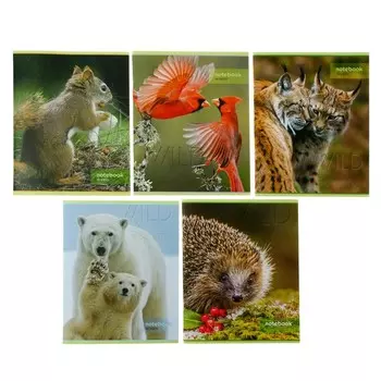 Тетрадь 48 листов в клетку «Дикий мир», бумажная обложка, МИКС