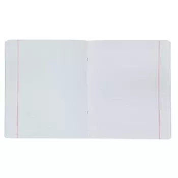 Тетрадь 48 листов в клетку ErichKrause "Color Stones", обложка мелованный картон, выборочный УФ-лак, блок офсет 100% белизны, МИКС (1 вид в спайке)