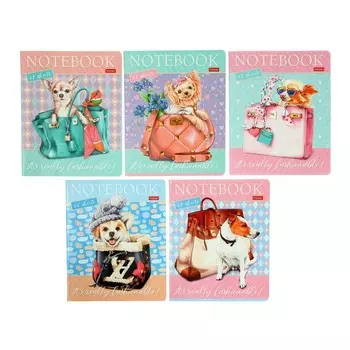 Тетрадь 48 листов в клетку Fashion Dogs, обложка мелованный картон, блок 65 г/м2, МИКС