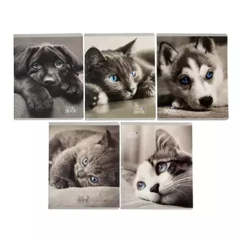 Тетрадь 48 листов в клетку "Гла-МУРР", обложка мелованный картон, УФ-лак, МИКС