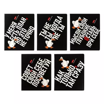 Тетрадь 48 листов в клетку "Гусь умный", обложка мелованный картон, выборочный лак, скругленные углы, 5В МИКС