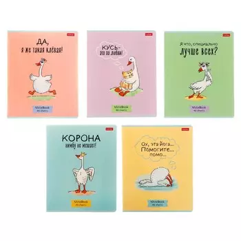 Тетрадь 48 листов в клетку «Гусь-веселюсь №1», обложка мелованный картон, МИКС