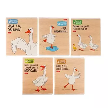 Тетрадь 48 листов в клетку «Гусь-веселюсь №2», обложка мелованный картон, МИКС