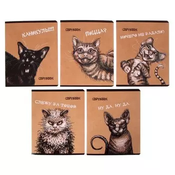 Тетрадь 48 листов в клетку "Эмоциональные коты", обложка крафт-картон, выборочный УФ-лак