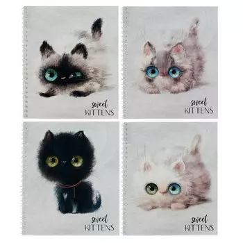 Тетрадь 48 листов в клетку на гребне "Глазастые котики", обложка мелованный картон, ламинация Soft-Touch, блок офсет, МИКС