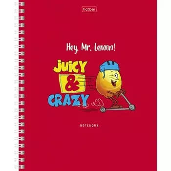 Тетрадь 48 листов в клетку на гребне Mr.Lemon, обложка мелованный картон, матовая ламинация, блок офсет 65г/м2, МИКС