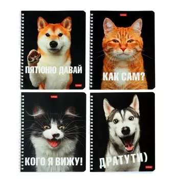 Тетрадь 48 листов в клетку на гребне "Привет", обложка мелованный картон, МИКС