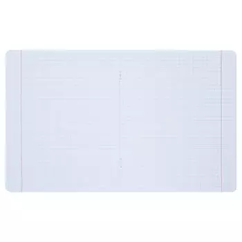 Тетрадь 48 листов в клетку на скрепке "Сияние", обложка мелованный картон, ВД-лак, блёстки, МИКС