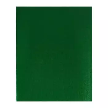 Тетрадь 48 листов в клетку на скрепке METALLIC "Зелёная", обложка бумвинил, блок офсет