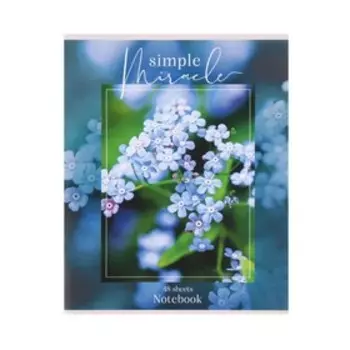 Тетрадь 48 листов, в клетку, «Обыкновенное чудо», обложка мелованная бумага, блок типографская бумага