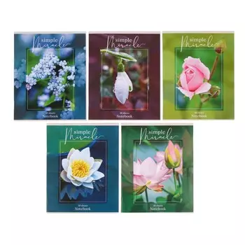 Тетрадь 48 листов, в клетку, «Обыкновенное чудо», обложка мелованная бумага, блок типографская бумага