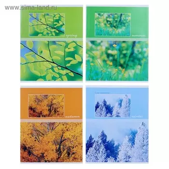 Тетрадь 48 листов в клетку Seasons, обложка хром-эрзац, серые листы, МИКС