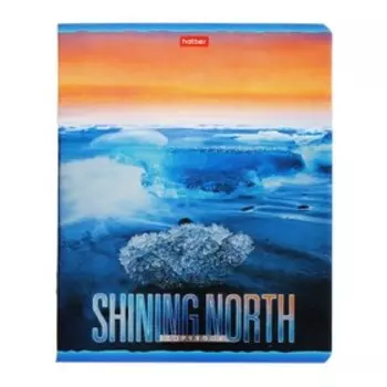 Тетрадь 48 листов в клетку "Сияющий север", обложка мелованный картон, фольгирование, блок офсет, МИКС