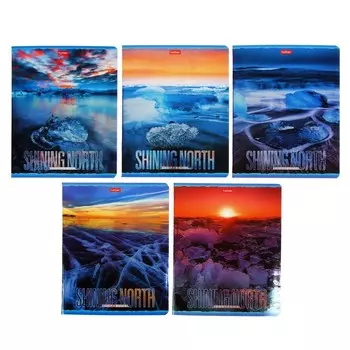 Тетрадь 48 листов в клетку "Сияющий север", обложка мелованный картон, фольгирование, блок офсет, МИКС