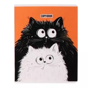 Тетрадь 48 листов, в клетку, "Удивлённые коты", мелованный картон, выборочный твинУФ-лак, ассорти
